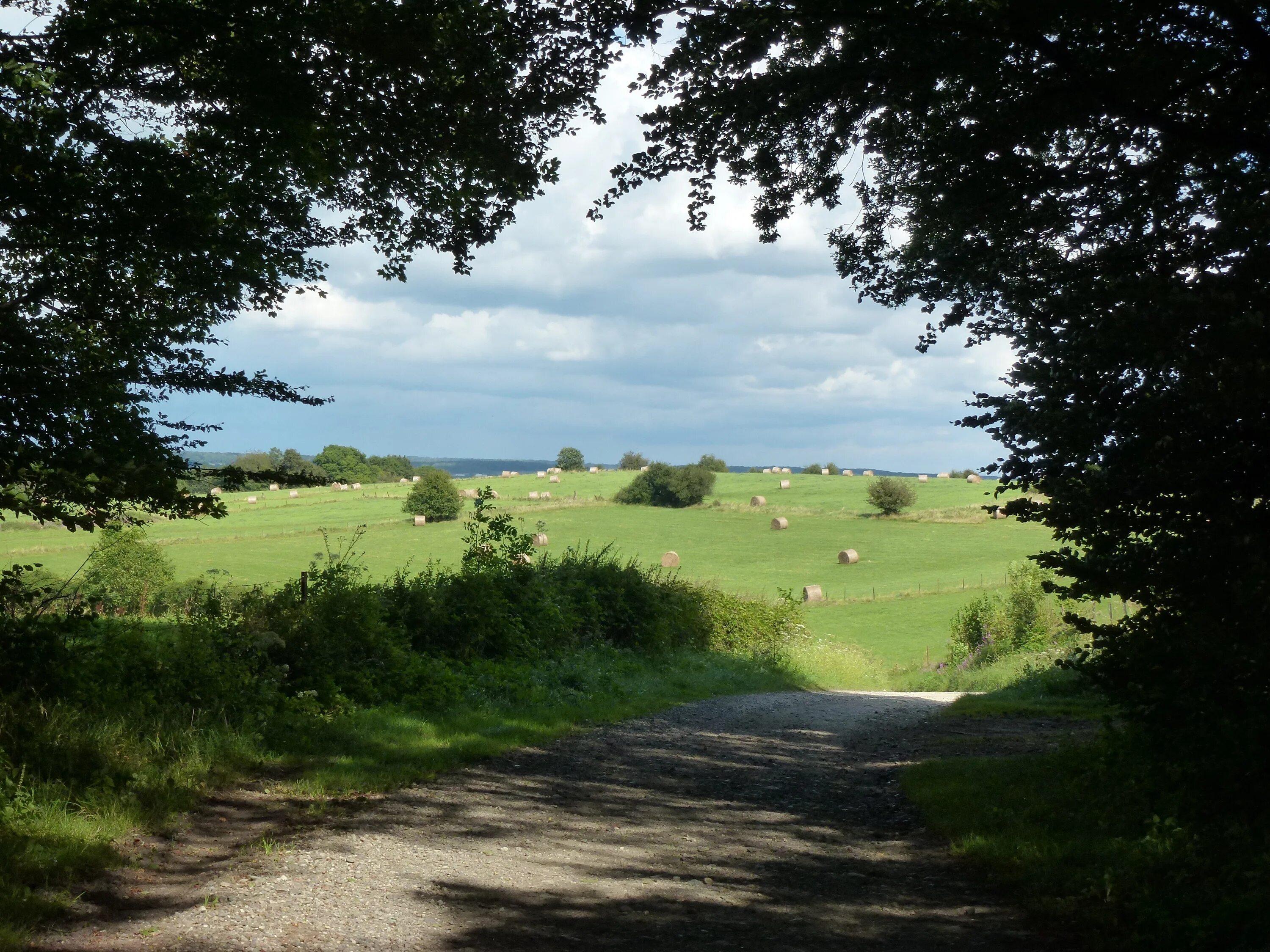 Countryside walks. Деревенская природа. Деревенский пейзаж. Природа сельской местности. Сельская местность.