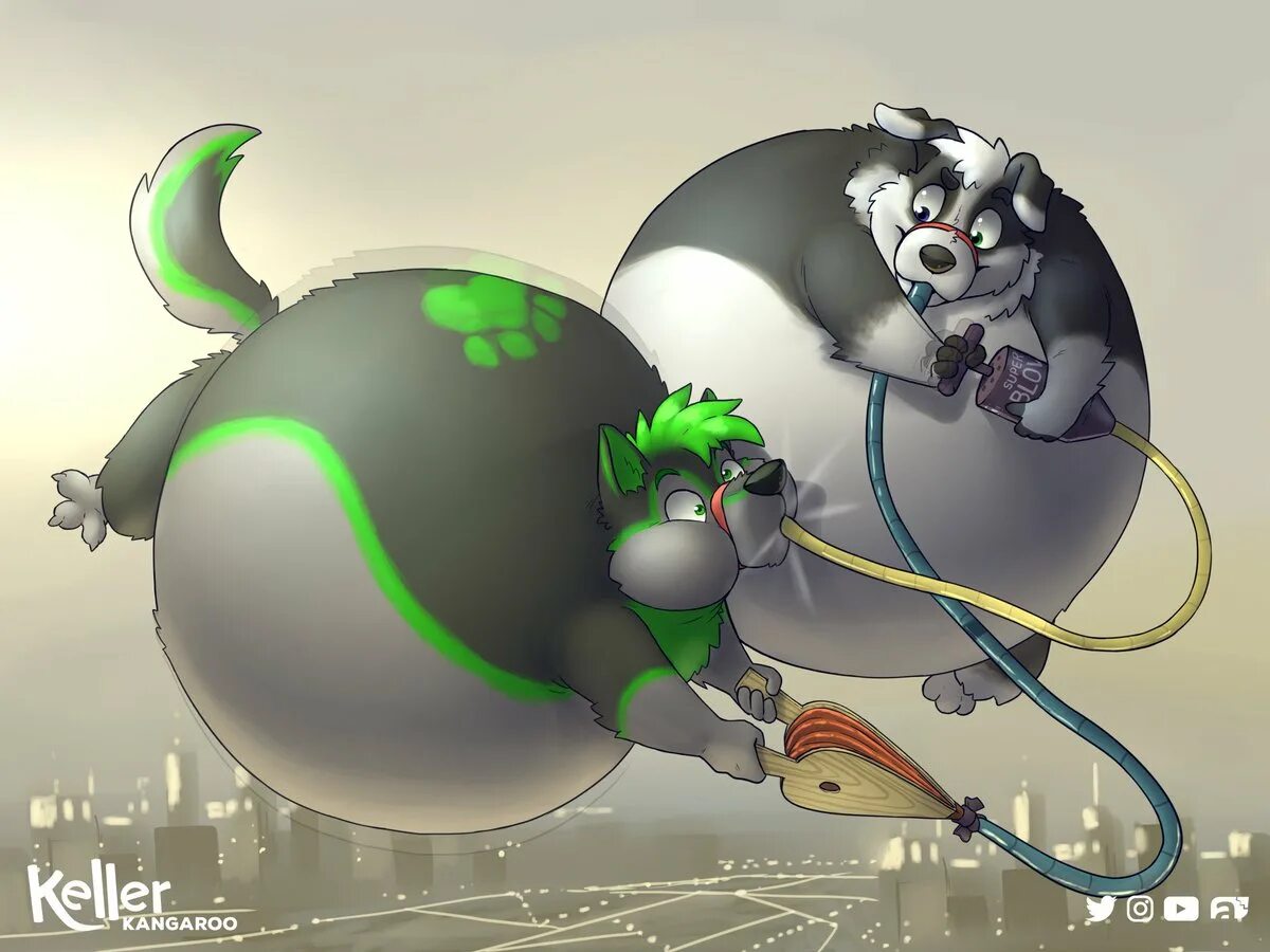 Furry inflation comics. Фурри инфляция. Furry inflation. Волк belly inflation. Furry Blimp inflation.