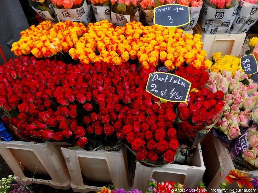 Цветочный рынок на береговой. Оптовый цветочный рынок. Розы в цветочном магазине. Оптовый склад цветов. Оптовая база цветов.