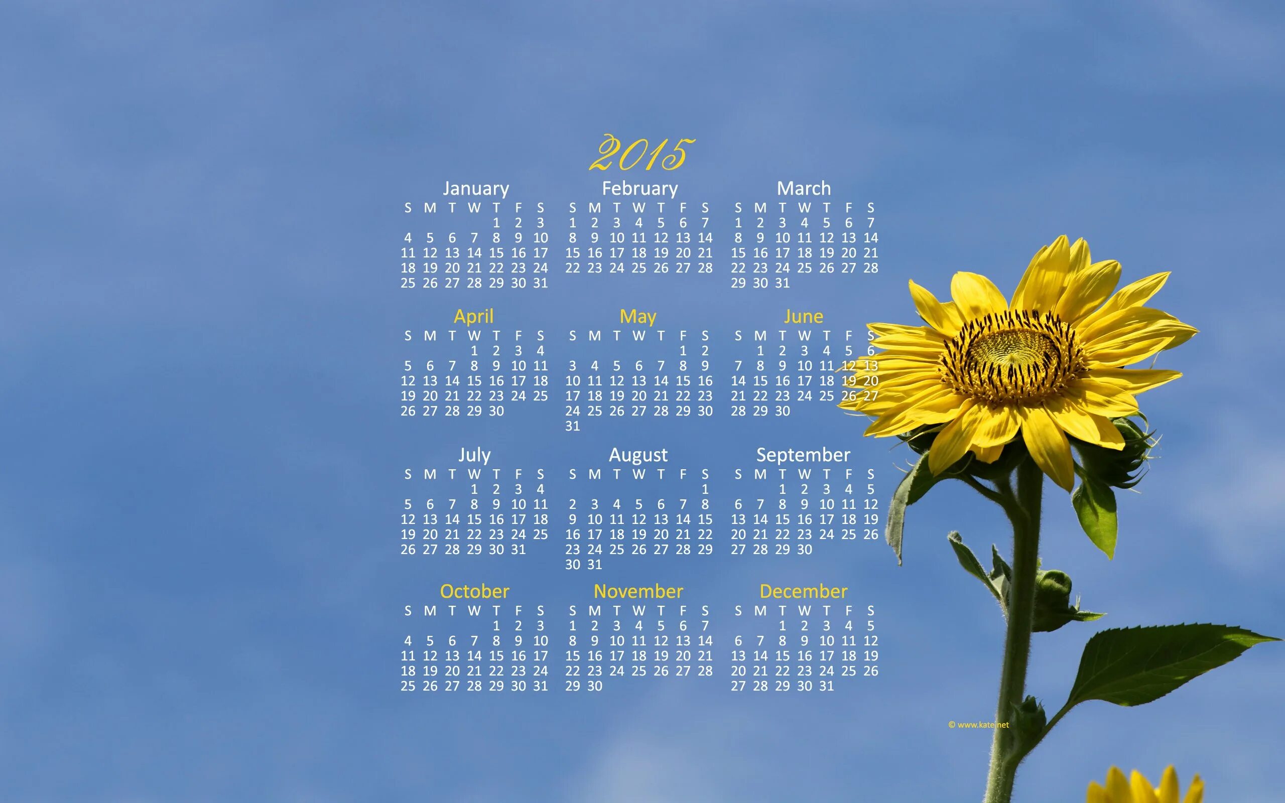Календарь на рабочий стол 2024 года обои. Календарь. Красивый фон для календаря. Красивый календарь. Календарь картинка.
