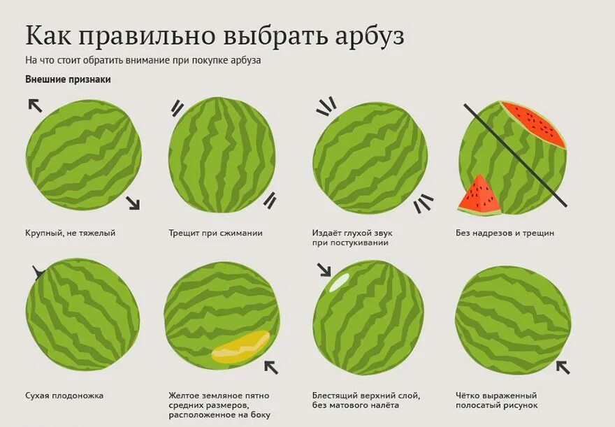 Как в арбузе отличить мальчика от девочку