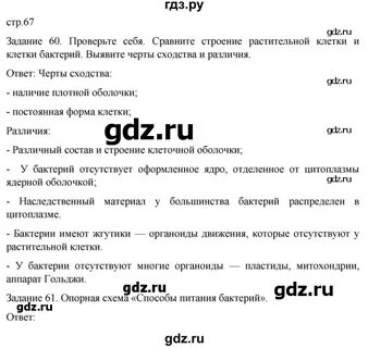 Биология 7 класс пасечник ответы на вопросы