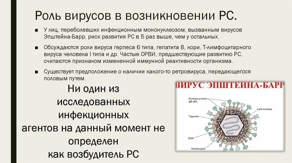 Вирусов в природе и жизни человека. Роль вирусов. Роль вирусов в природе. Функции вирусов. Положительная роль вирусов.