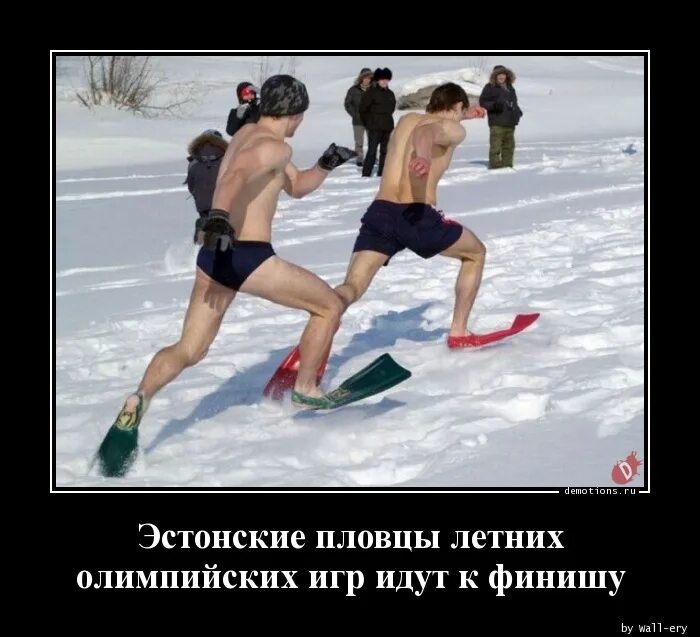 Сочи цитаты. Сочи прикол. анекдоты про олимпиаду. шутки про сочи.