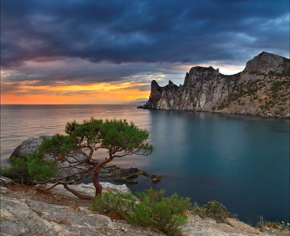 Новый свет крым пейзаж. Аязьма крым. Береговая линия крыма. Крым мыс фиолент цветы. Уникальность природы крыма.