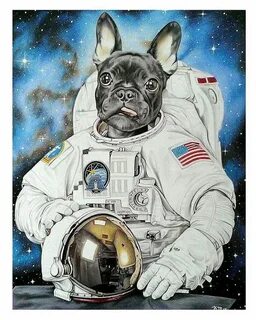 День космонавтики собака