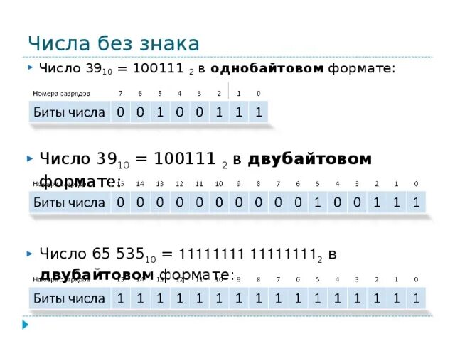 Число 100111 в десятичной системе. Однобайтовом формате. -2 в однобайтовом формате. номера разрядов биты числа. число 1910=100112 в однобайтовом формате:.