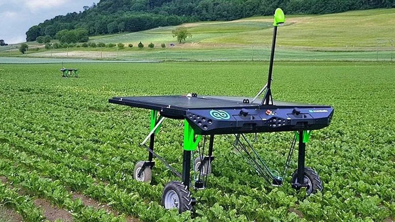 ECOROBOTIX. Робот для прополки грядок. Роботы в сельском хозяйстве. Робот для борьбы с сорняками. Ии в сельском хозяйстве