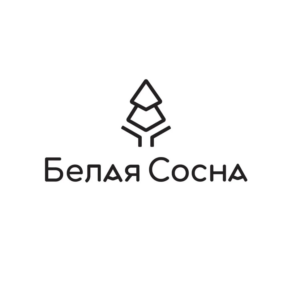 Хвойная вологда. Сосна обыкновенная дерево. Вологодская сосна. Хвойная вологда. Хвойная вологда.