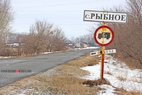 Погода алт