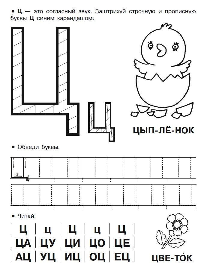 Грамота звук буква ц. Печатная буква ц задания для дошкольников. Учим букву ц с дошкольниками. Задания для дошкольников бука ц. Печатаем букву ц для дошкольников.