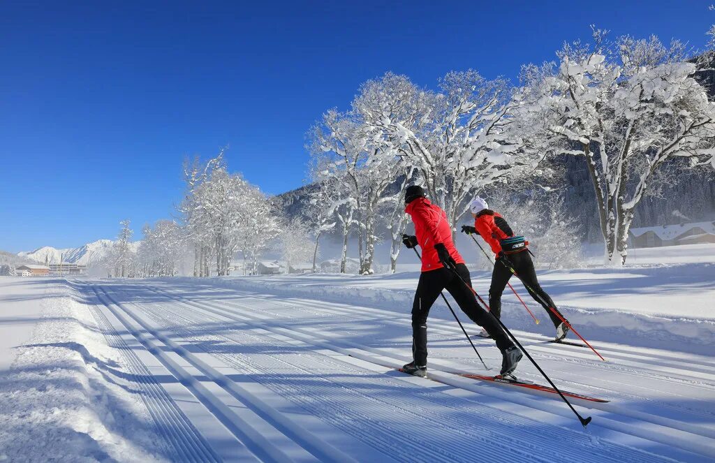 Зимний спорт. Лыжный спорт. Зимние лыжи. Лыжники. The good ski