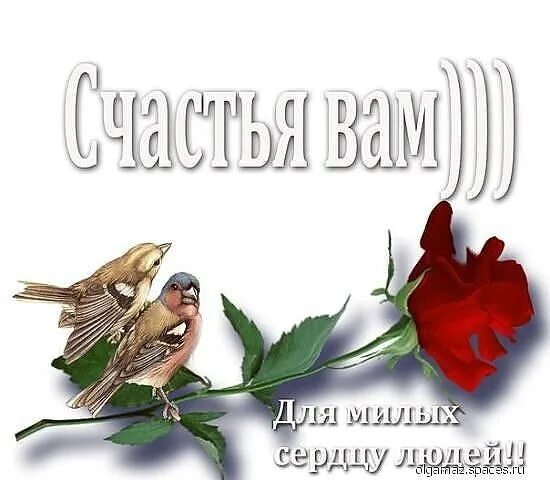 землячке пожелания. открытки землякам. стихи о земляках. открытка "с днём победы". открытка землякам.