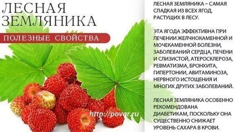 Клубника польза для здоровья