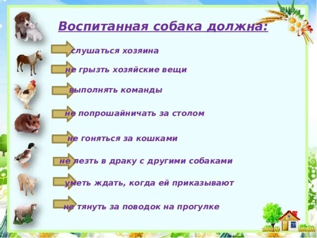 Что делать если собака не слушается. Этапы воспитания щенка. что делать если собака тебя не слушается. собака не слушается хозяина что делать.
