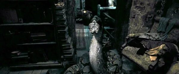 Нагайна поттер. Нагайна поттер. Нагайна поттер. Нагайна поттер. Нагайна поттер.