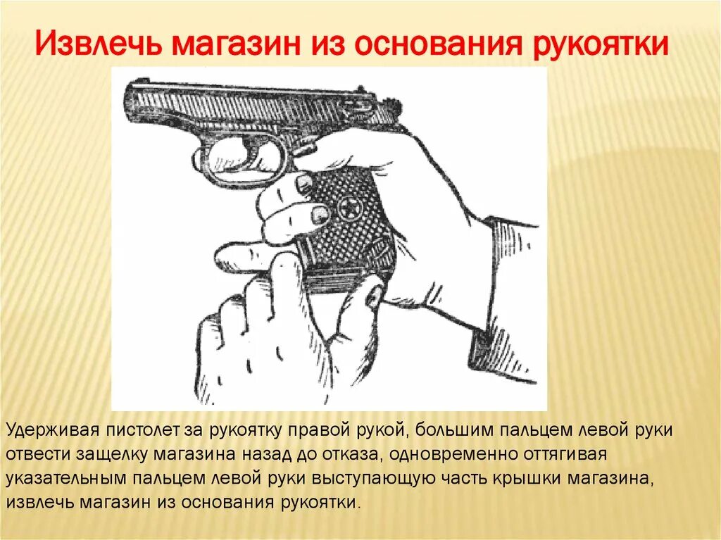 Треугольник пм. Треугольник пм