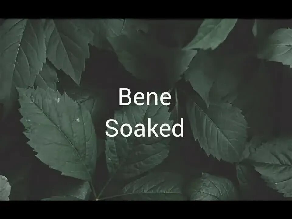 Текст песни so soaked. Benee - Soaked. Soaked Lyric. Benee. So Soaked песня.