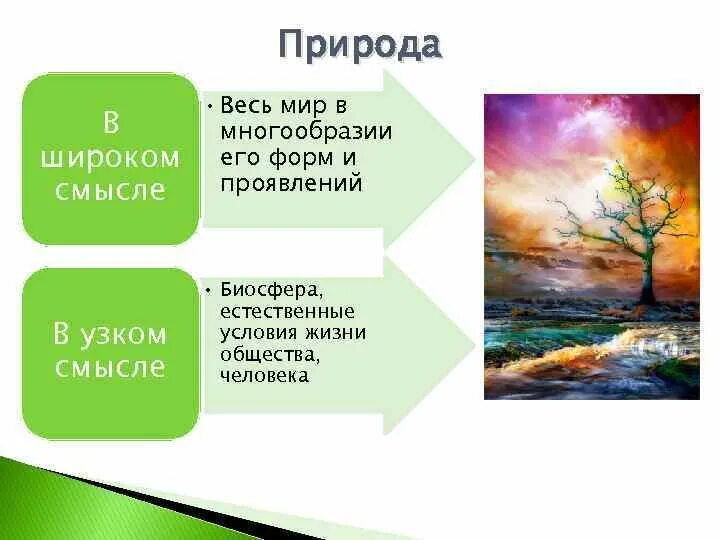 Дайте определение понятия природа. Природа в широком и узком смысле. Природа в узком смысле и в широком смысле. Природа в узком смысле. Природа в широком и узком смысле Обществознание.