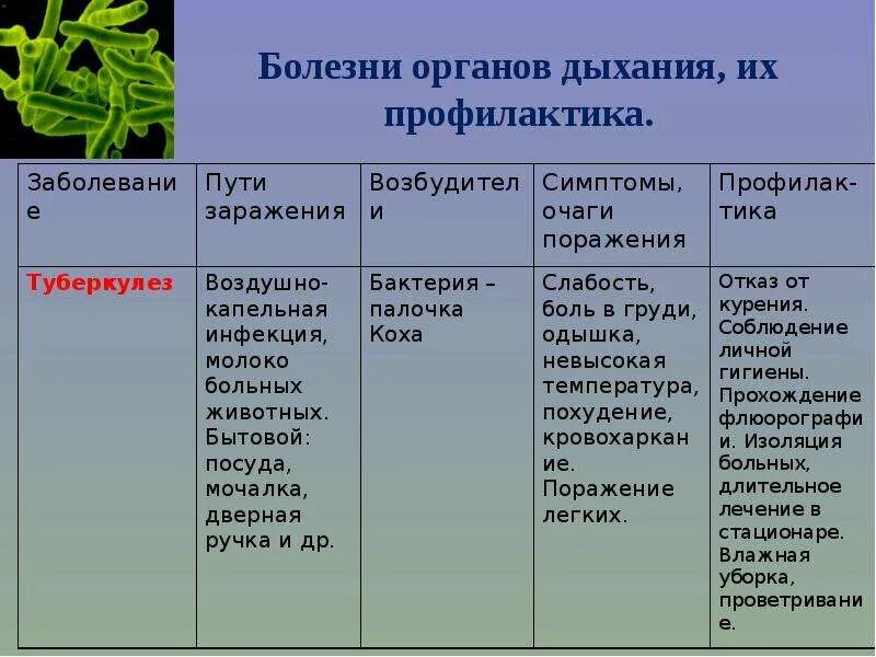 Таблица по биологии 8 класс болезни органов дыхания. Болезни дыхательной системы таблица. Таблица заболевания дыхательной системы по биологии 8 класс. Таблица по биологии 8 класс болезни дыхательных путей.