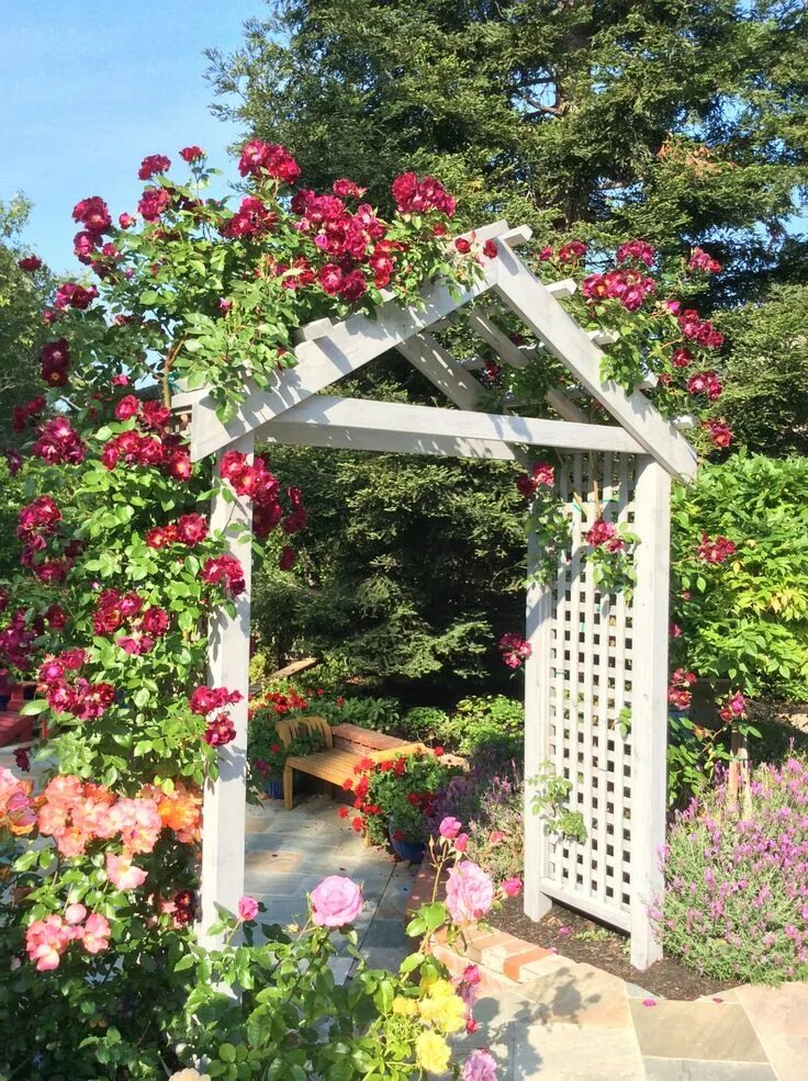 lowes garden arbors trellises Garden arbor, Pergola, Garden arch