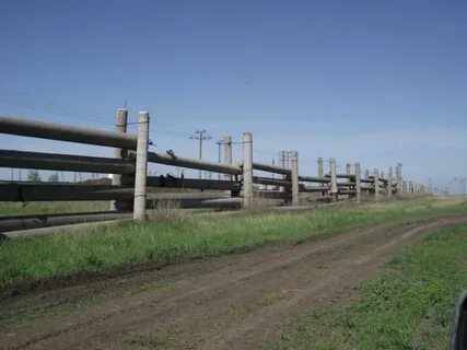 Погода соболево первомайский