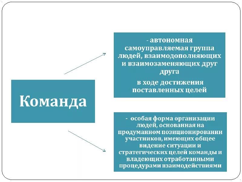 Человек как самоуправляемая система сообщение 7