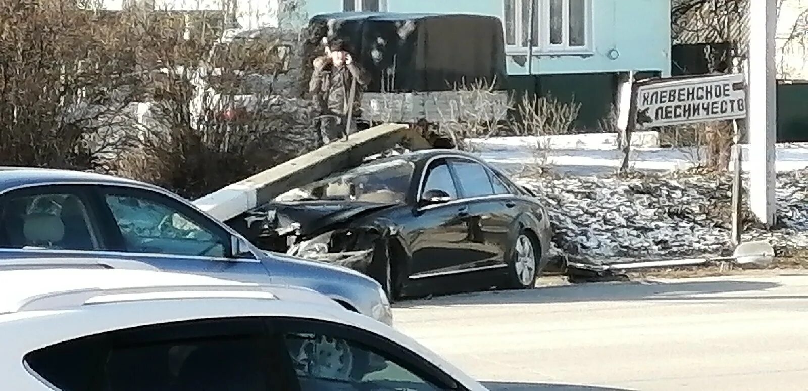 Сбитый мерседесом. Сбитый мерседесом