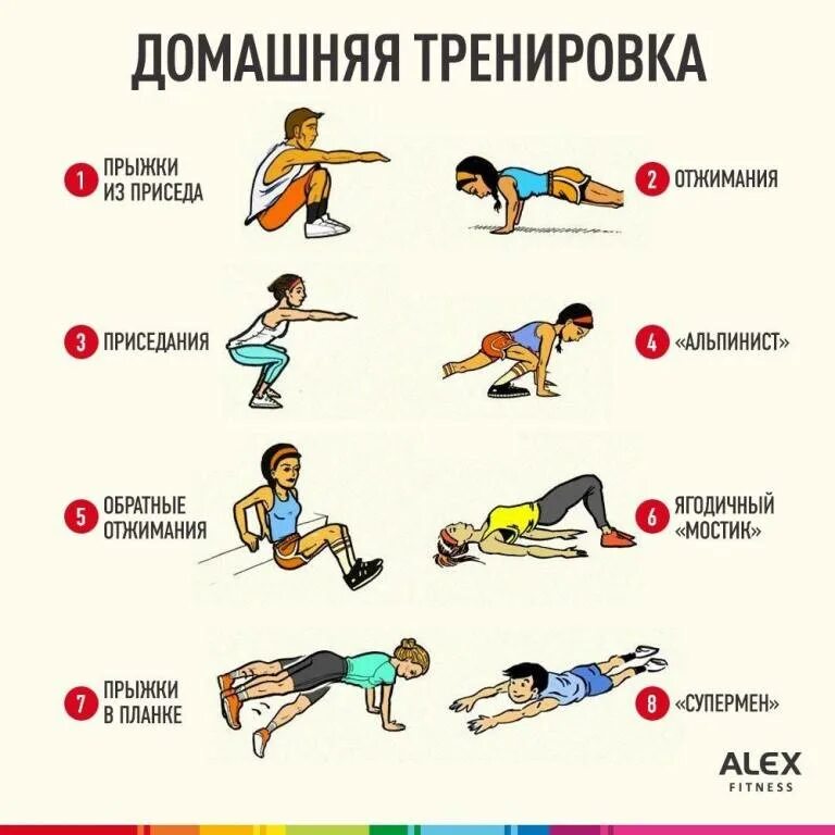 Тренировка дома для начинающих девушек. Тренировки в домашних условиях. список упражнений. упражнения для домашних тренировок. комплекс домашних упражнений.