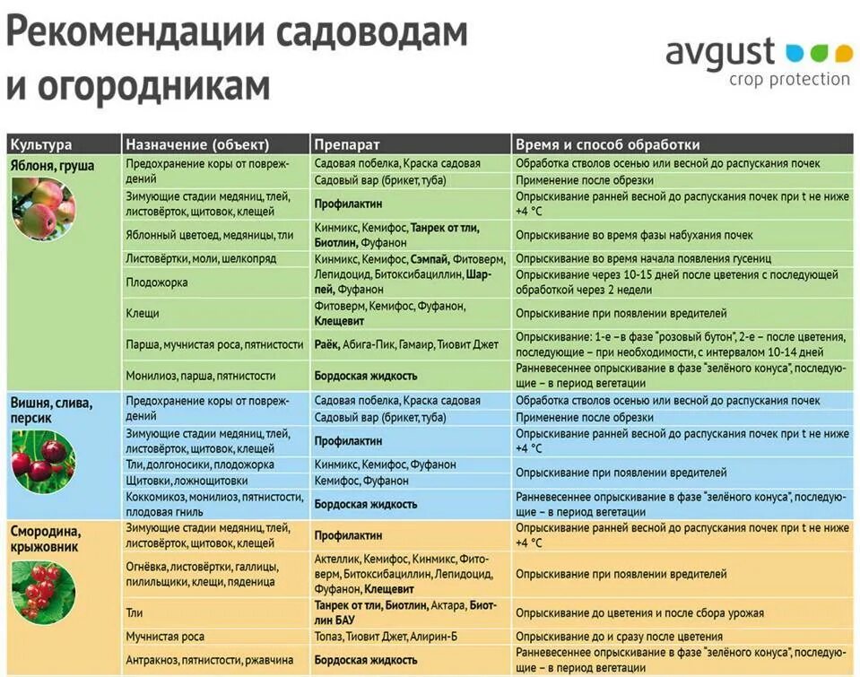 Можно ли после опрыскивания. Таблица обработки сада от вредителей и болезней весной. Весенняя обработка садовых деревьев от вредителей и болезней. Весенняя обработка сада от болезней и вредителей таблица. Средство для обработки сада весной от вредителей и болезней.