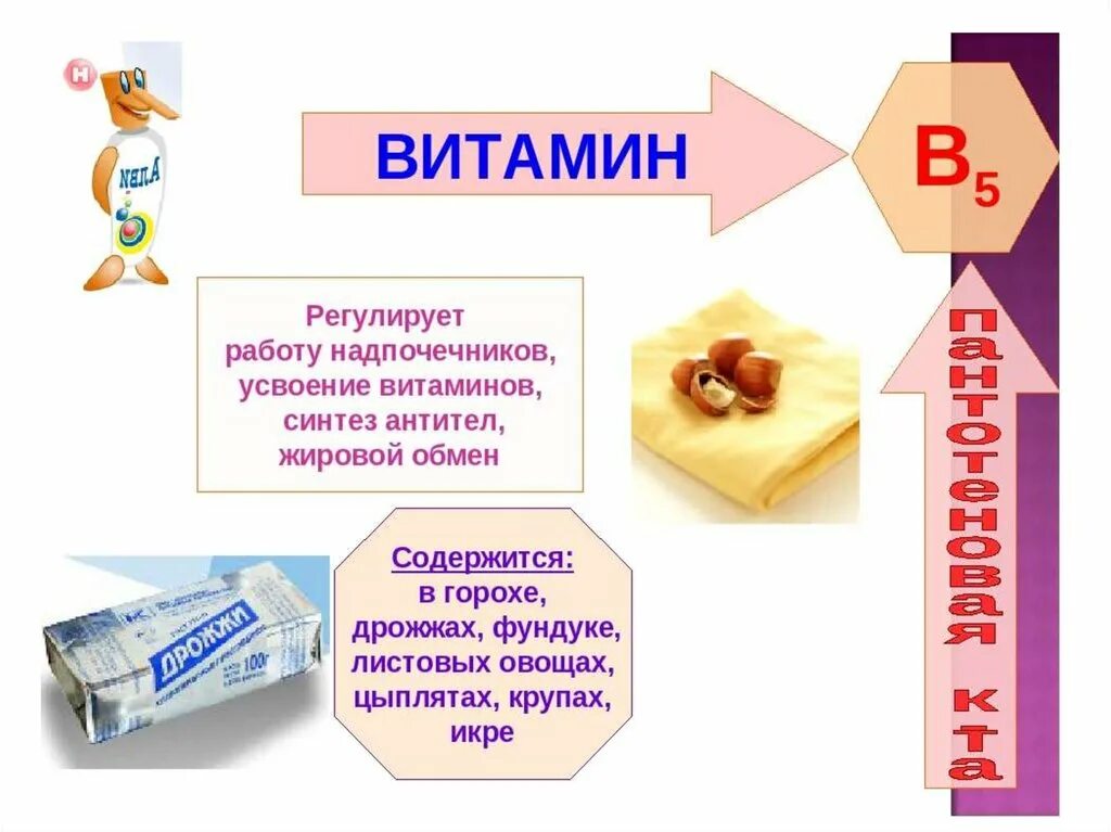 Витамины презентация. Витамины 8 класс презентация. Витамины слайд. Витамины доклад по биологии 8 класс.