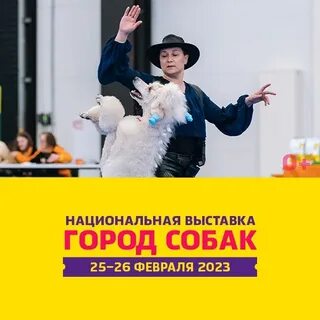25 августа выставка собак москва
