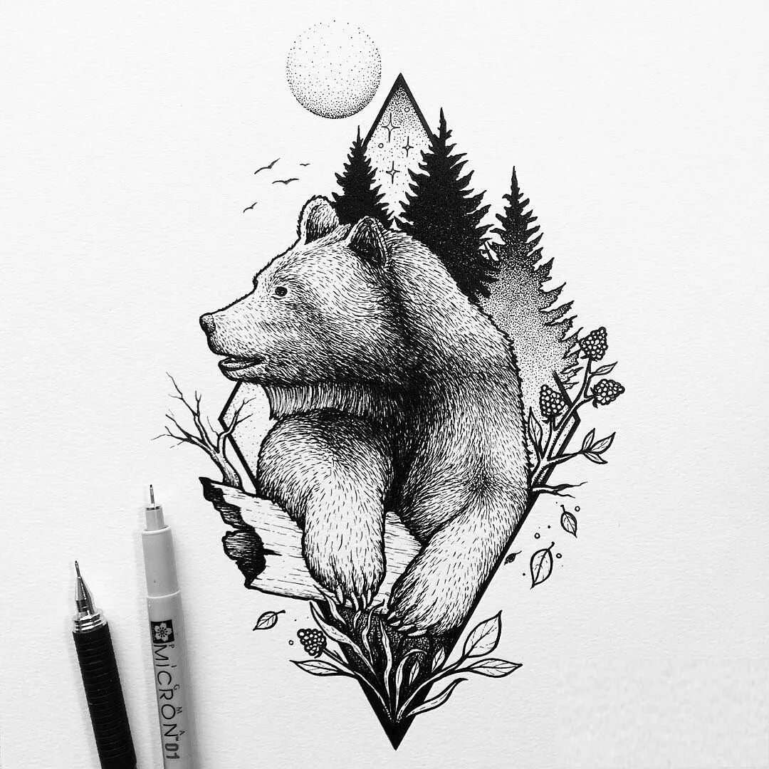 медведь графика