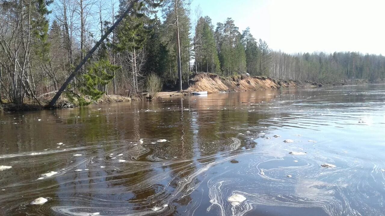 Река тоже. Половодье на Вишере. Уровень воды Косьва. Оныл Пермский край. Уровень воды реки Яйва.