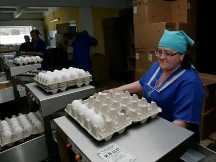 Птицефабрики алтайского края