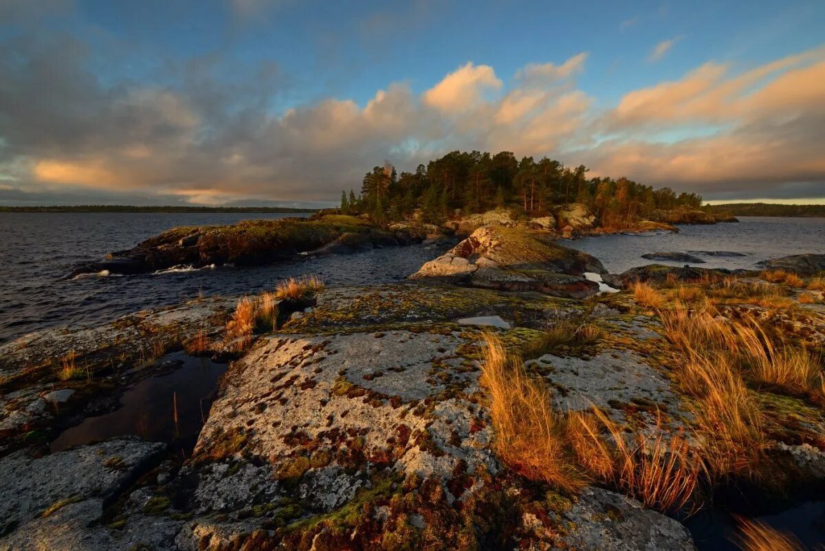 ладожские заливы. карелия шхеры ладожского озера. республика карелия озеро ладога. приозерск бухта щучья. ладожские шхеры.
