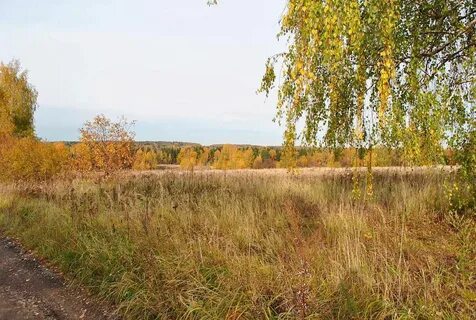 Д каменское