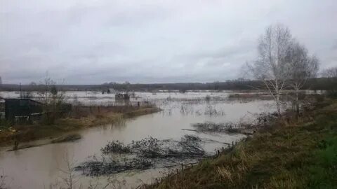 Заринск река