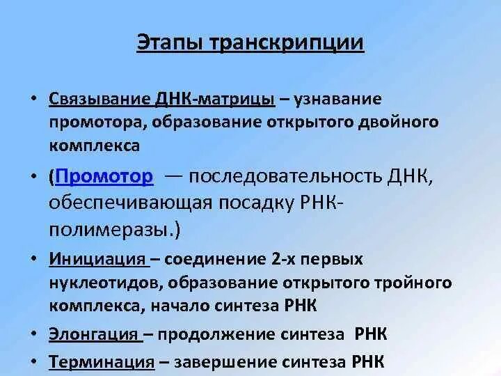 Промотор транскрипции. Охарактеризуйте основные этапы транскрипции днк?. транскрипция сущность этапы транскрипции. этапы транскрипции инициация. транскрипция биология этапы.