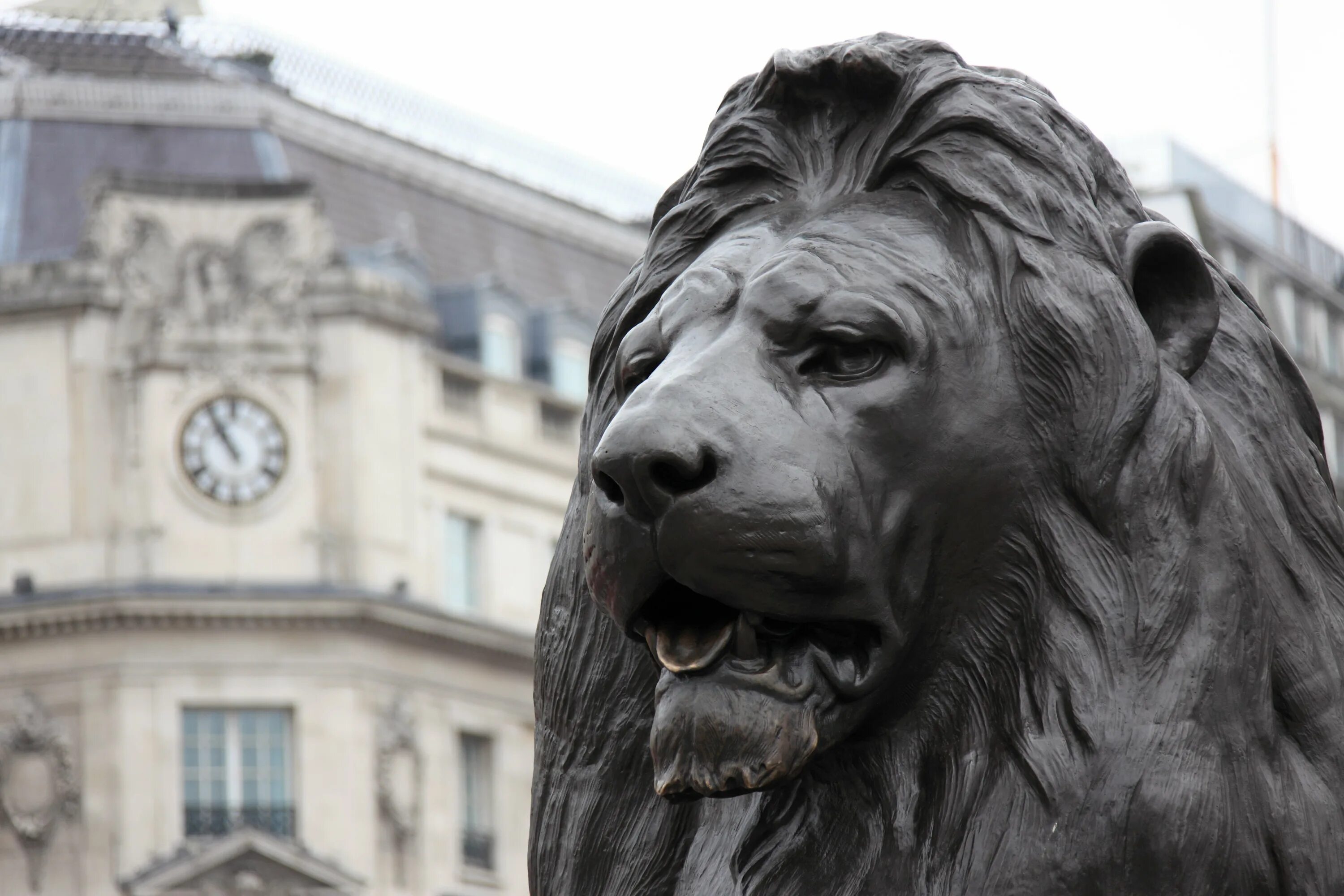Статуя львов. Трафальгарская площадь львы. Статуя Льва в Англии. Картинки скульптура Льва на Трафальгарской площади в Лондоне. Скульптура Лев Бермондси в Лондоне.