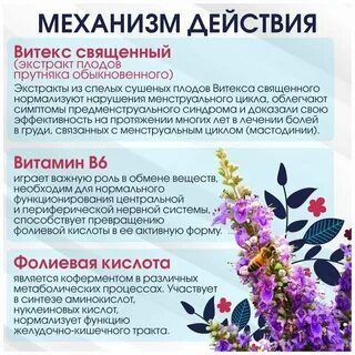 Экстракт витекса священного