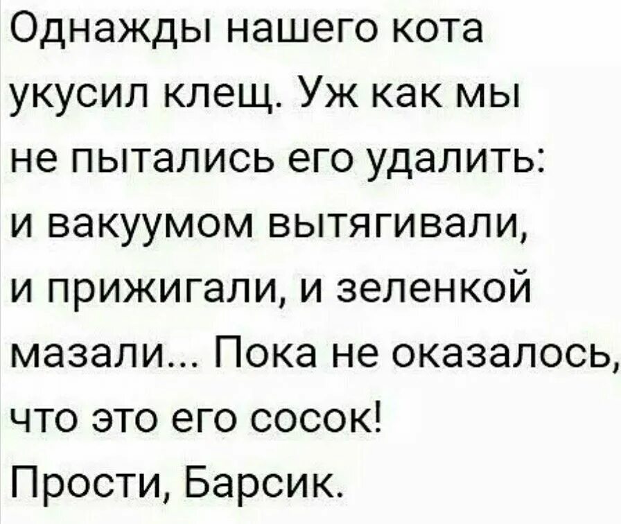 Лучшая шутка слово. Приколы с текстом. Смешные тексты. Смешные приколы текст. Смешные картинки с текстом.