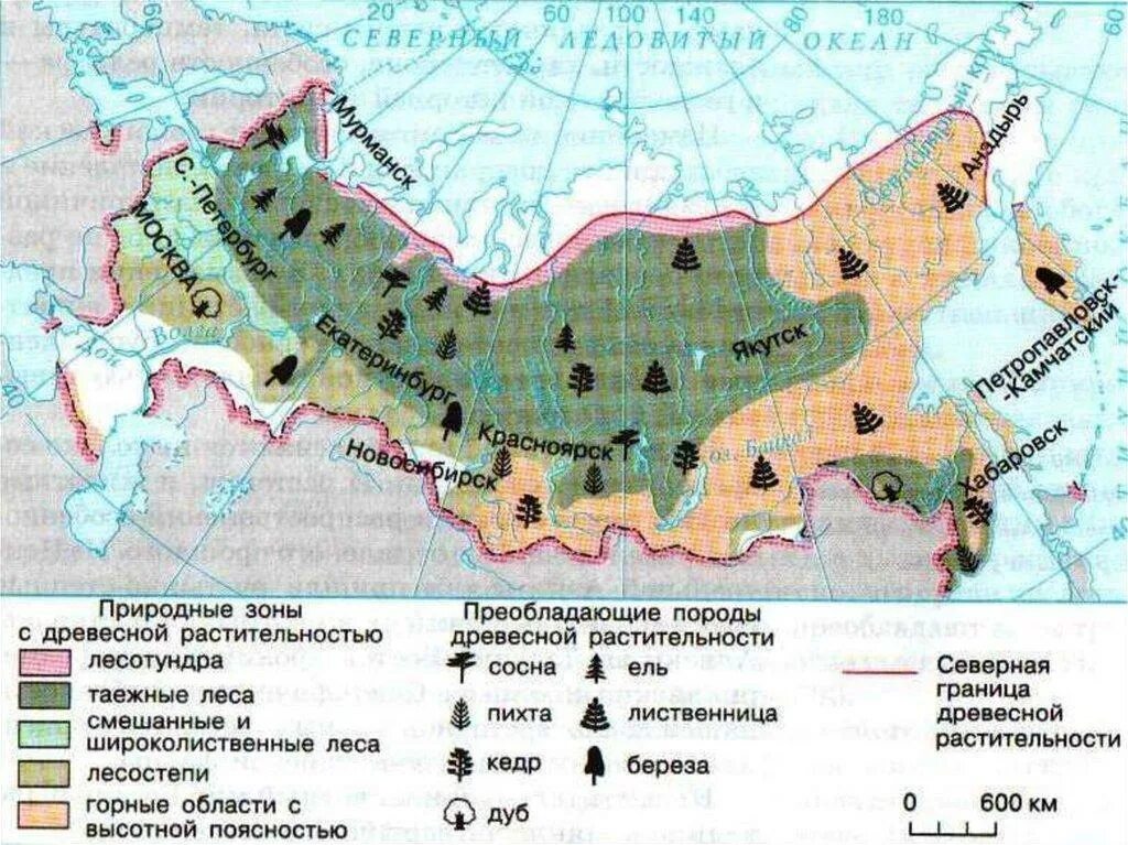 В каких природных зонах расположен край. Карта типов растительности россии. типичные представители древесной растительности россии. карта природных зон росс. карта природных зон россии с растениями.
