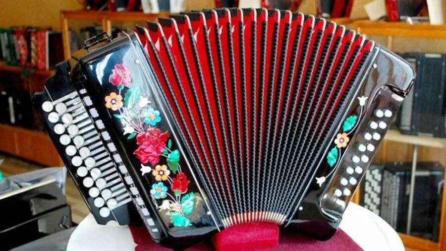 гармонь ромашка 23х12.