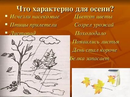 2 осенью дни становятся короче становятся