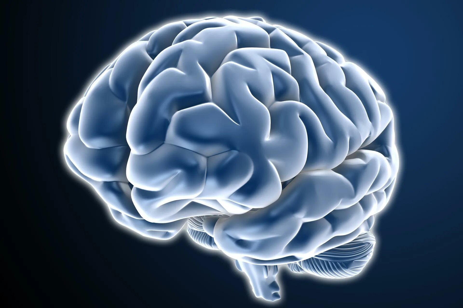 Фон с мозгами. Синий мозг. Мозг и память человека.
