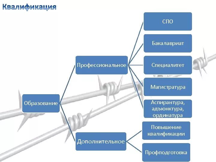 Специалитет что это такое. Уровни образования специалитет бакалавриат магистратура. Что такое бакалавриат и магистратура и специалитет и аспирантура. Бакалавриат магистратура аспирантура. Специалитет магистратура аспирантура.