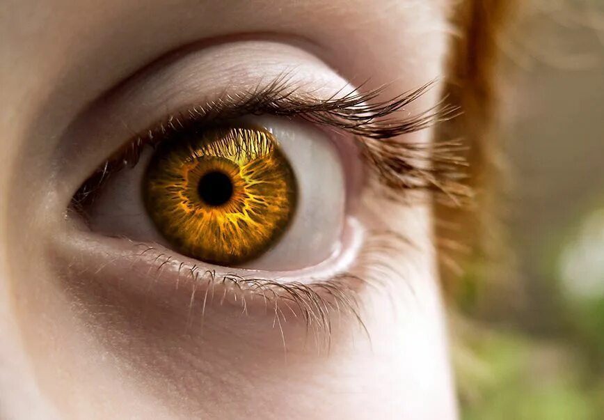 Описание желтых глаз. Золотые глаза. Янтарные глаза. Желтые глаза. Янтарно желтые глаза.