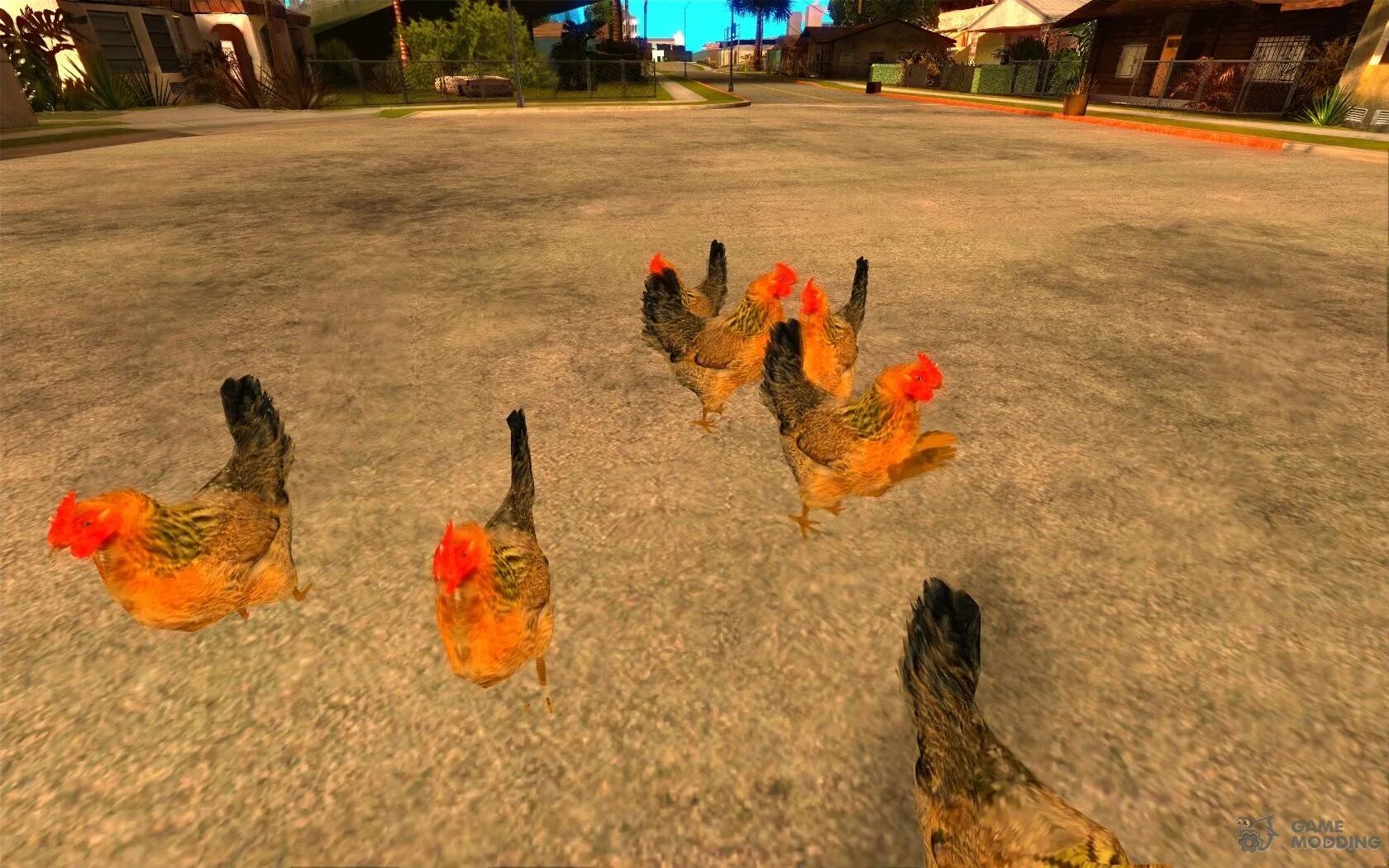 Петуха 7. Gta san andreas курица. петух гта сан андреас. курица самп. скин петуха.
