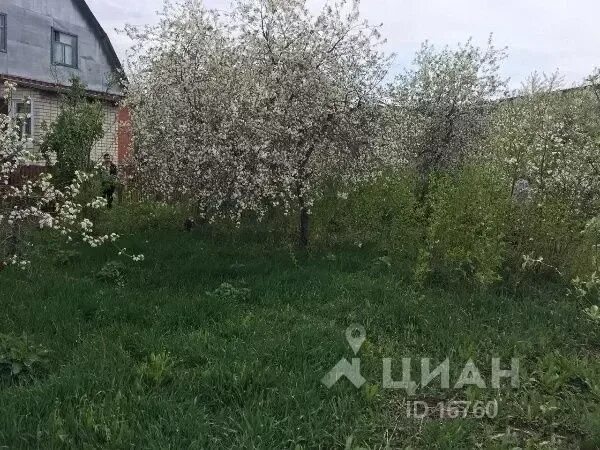 Деревня давлетьево сейчас. Село большое подовечье. Село большое подовечье. Милославское рязанская область храм. Село большое подовечье.
